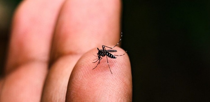 Arapongas tem 8 mortes confirmadas por Dengue