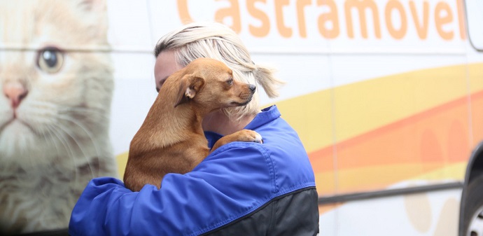 Veja como participar do CastraPet; inscrições encerram em breve