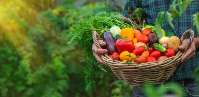 Sesan faz balanço de ações do programa de aquisição de Alimentos